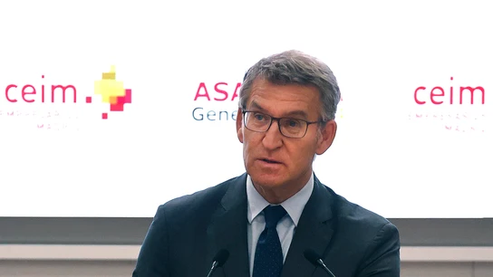 El líder del PP, Alberto Núñez Feijóo El líder del PP, Alberto Núñez Feijóo