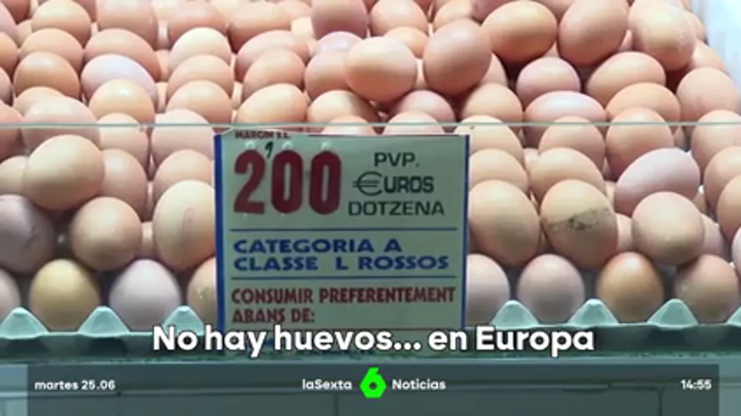 Europa se queda sin huevos: la demanda crece y amenaza el abastecimiento Europa se queda sin huevos: la demanda crece y amenaza el abastecimiento