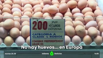 Europa se queda sin huevos: la demanda crece y amenaza el abastecimiento 