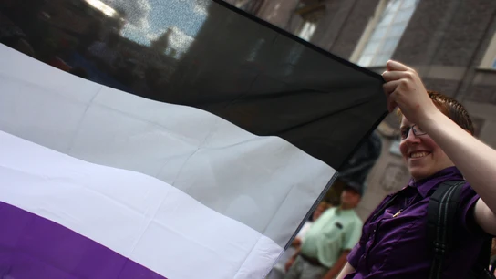 Una bandera asexual, fotografiada en mayo de 2012 Una bandera asexual, fotografiada en mayo de 2012