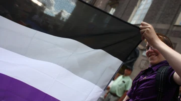 Una bandera asexual, fotografiada en mayo de 2012