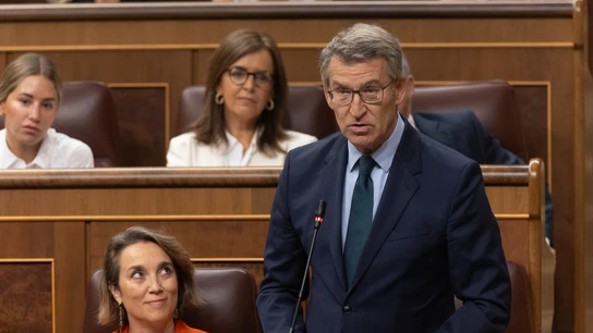 El presidente del PP, Alberto Núñez Feijóo El presidente del PP, Alberto Núñez Feijóo