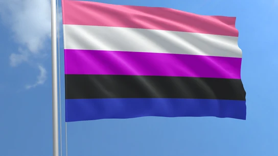 La bandera de género fluido La bandera de género fluido