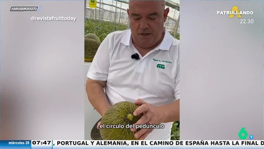Los 4 pasos a seguir para saber si un melón está en su punto: "Si os fijáis en esto, tendréis un melón de calidad" Los 4 pasos a seguir para saber si un melón está en su punto: "Si os fijáis en esto, tendréis un melón de calidad"
