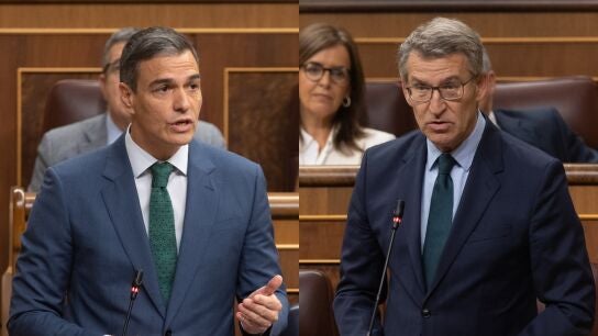 Pedro S&aacute;nchez y Alberto N&uacute;&ntilde;ez Feij&oacute;o durante la sesi&oacute;n de control al Gobierno en el Congreso. 