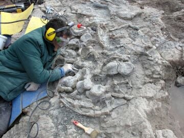 Paleontólogos escavanado 