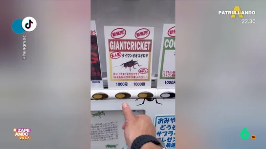 ZAPEANDO: Así son las máquinas expendedoras de grillos gigantes en Japón: son comestibles Los zapeadores alucinan después de ver que en este país de Asia, por unos seis euros, es posible comprar grillos que son consumidos como un snack