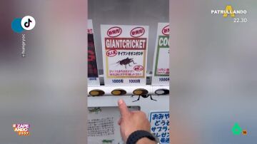 ZAPEANDO: Así son las máquinas expendedoras de grillos gigantes en Japón: son comestibles