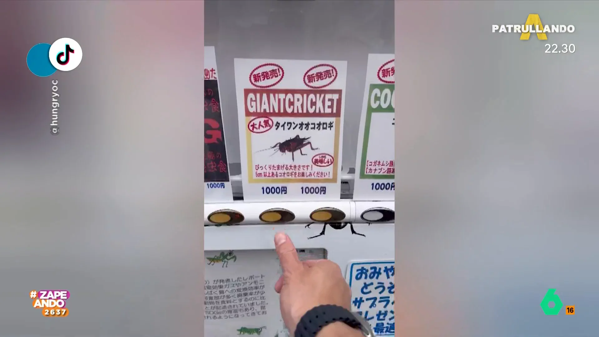 Los zapeadores alucinan después de ver que en este país de Asia, por unos seis euros, es posible comprar grillos que son consumidos como un snack