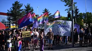 Un grupo de personas con pancartas durante la manifestación del Orgullo Crítico de 2022 en Madrid.