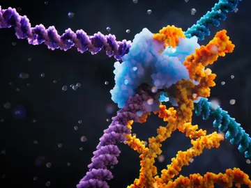 Visualización del mecanismo de la recombinasa puente Visualización del mecanismo de la recombinasa puente