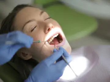 ¿Se pueden regenerar los dientes? ¿Se pueden regenerar los dientes?