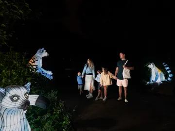 Vuelve Brilla Madrid, el zoo iluminado más grande del mundo, a Faunia Vuelve Brilla Madrid, el zoo iluminado más grande del mundo, a Faunia