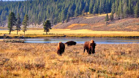 Yellowstone, Estados Unidos Yellowstone, Estados Unidos