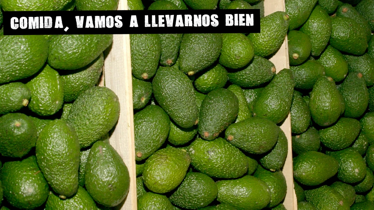 El aguacate: beneficios, contraindicaciones y el crecimiento de su consumo