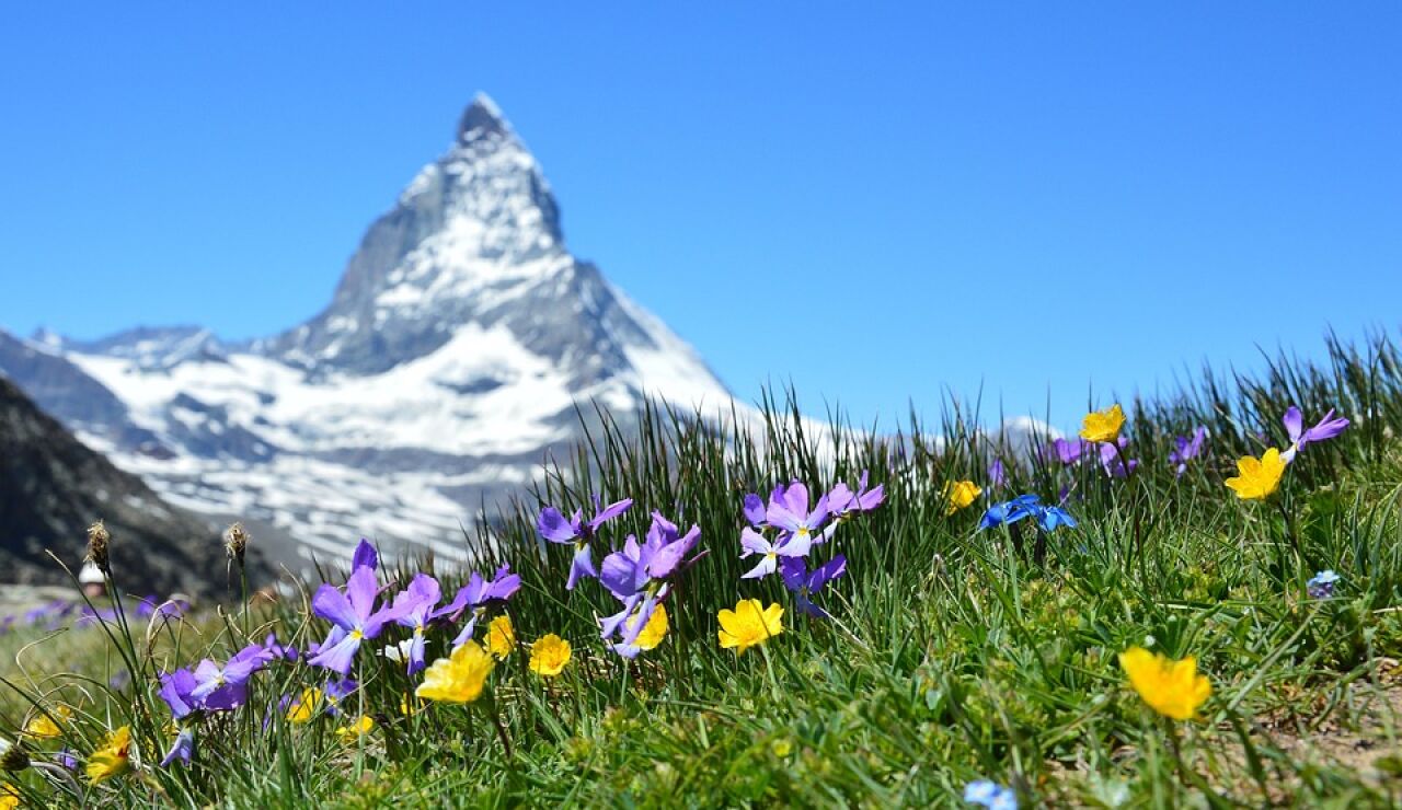 Alpes Suizos en primavera y verano