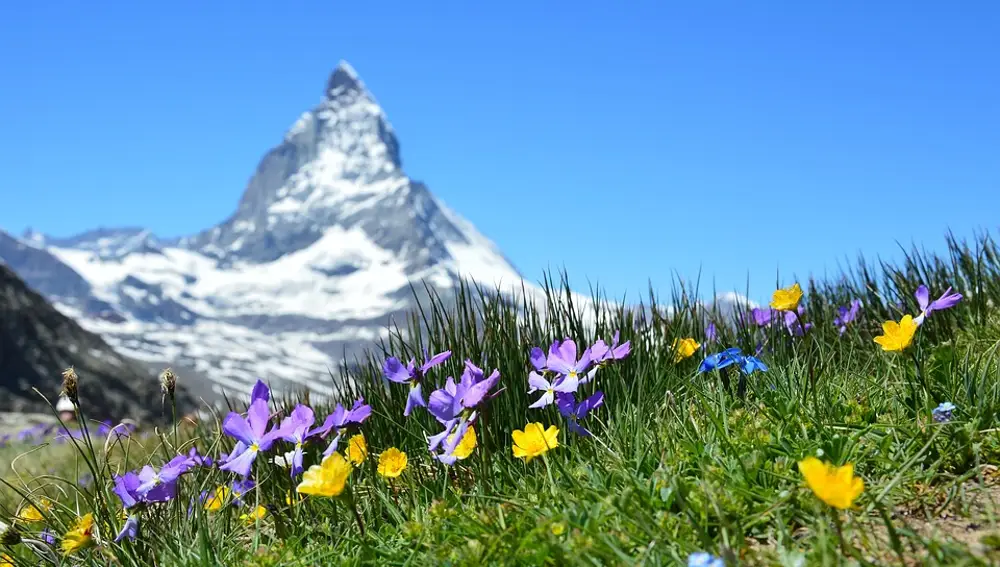 Alpes Suizos en primavera y verano