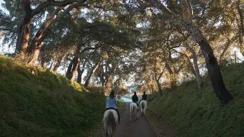 Rutas a caballo en Alentejo Rutas a caballo en Alentejo