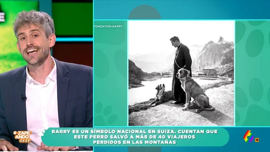 Víctor Algra explica la historia de Barry, un perro rescatador suizo que se ha convertido en el símbolo del país alpino Como indica el veterinario, tal es la fama que tiene este animal que su cuerpo se conserva disecado en el Museo de Historia Natural de Berna