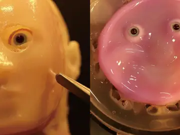 Robot japonés hecho con piel viva Robot japonés hecho con piel viva