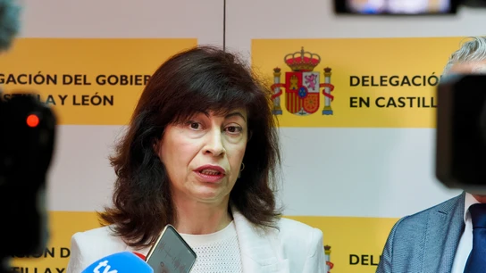 La ministra de Igualdad, Ana Redondo, atiende a los medios de comunicación La ministra de Igualdad, Ana Redondo, atiende a los medios de comunicación