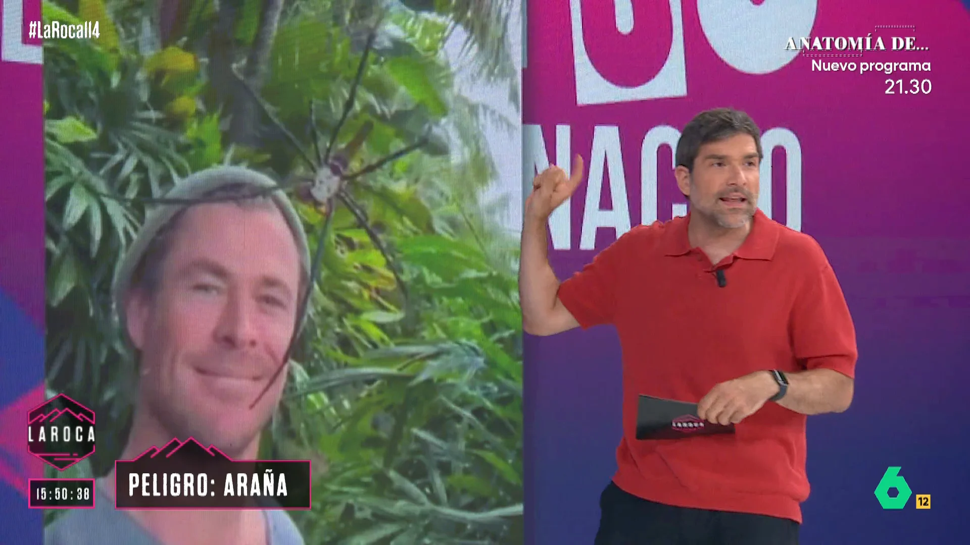 Nacho García alucina con el tamaño de las arañas australianas