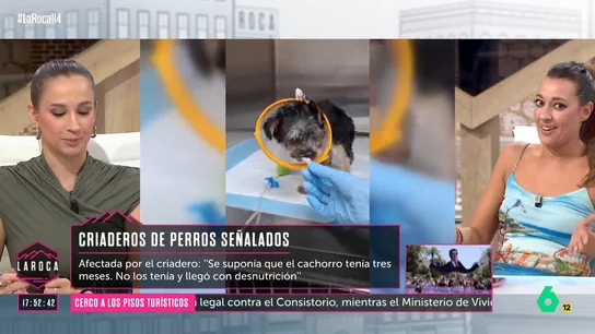 Sara Ramos critica a aquellas personas que compran animales en los criaderos Sara Ramos critica a aquellas personas que compran animales en los criaderos