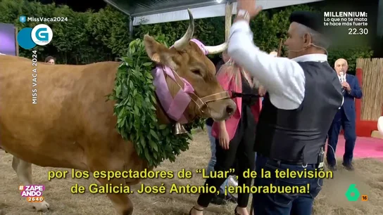 Se llama 'Navarra' y es de Lugo: ya tenemos ganadora en el concurso de belleza 'Miss Vaca' El certamen de belleza vacuna ya tiene a su ganadora