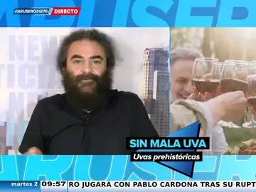 La reacción de El Sevilla a la noticia que revela que bebemos vino gracias a la extinción de los dinosaurios