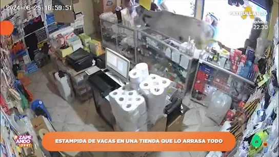 Una vaca arrasa con el interior de una tienda: "Igual le habían dicho que empezaban las rebajas" El animal irrumpe en el establecimiento y se dedica a tirar todos los estantes y los productos del comercio ante los gritos de los viandantes que, por los pelos, huyen de ella.