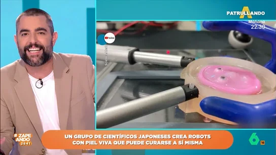 Dani Mateo alucina con los nuevos robots japoneses: "Parece una loncha de chóped sonriéndote" Dani Mateo alucina con los nuevos robots japoneses: "Parece una loncha de chóped sonriéndote"