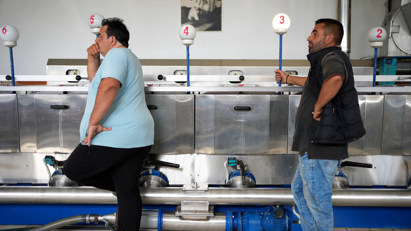 Dos trabajadores en una planta de producción de aceite de oliva en Spata (Atenas, Grecia) Dos trabajadores en una planta de producción de aceite de oliva en Spata (Atenas, Grecia)
