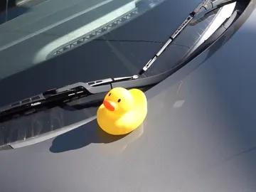 Cool Jeep Cool Jeep
