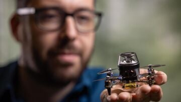 Navegacion de diminutos drones inspirada en las hormigas
