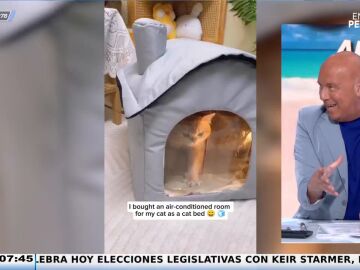 La solución perfecta para ayudar a tus mascotas a afrontar la ola de la calor