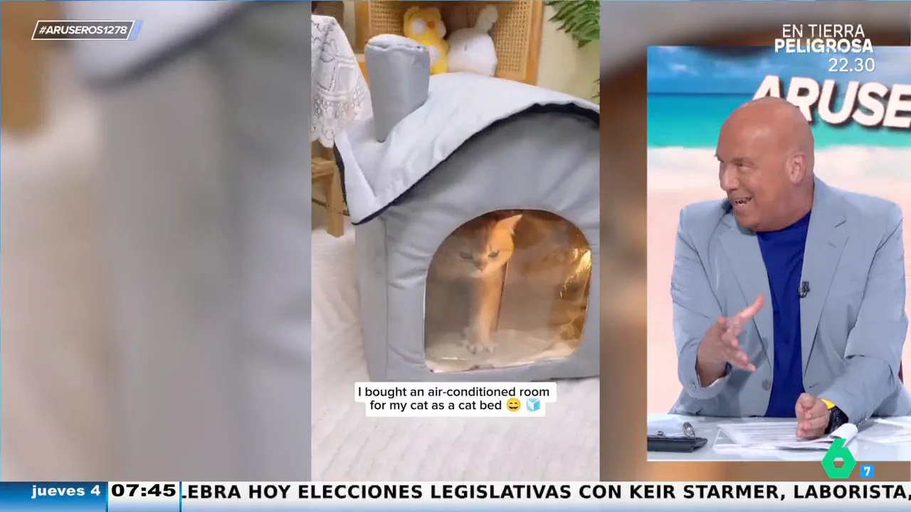 La solución perfecta para ayudar a tus mascotas a afrontar la ola de la calor