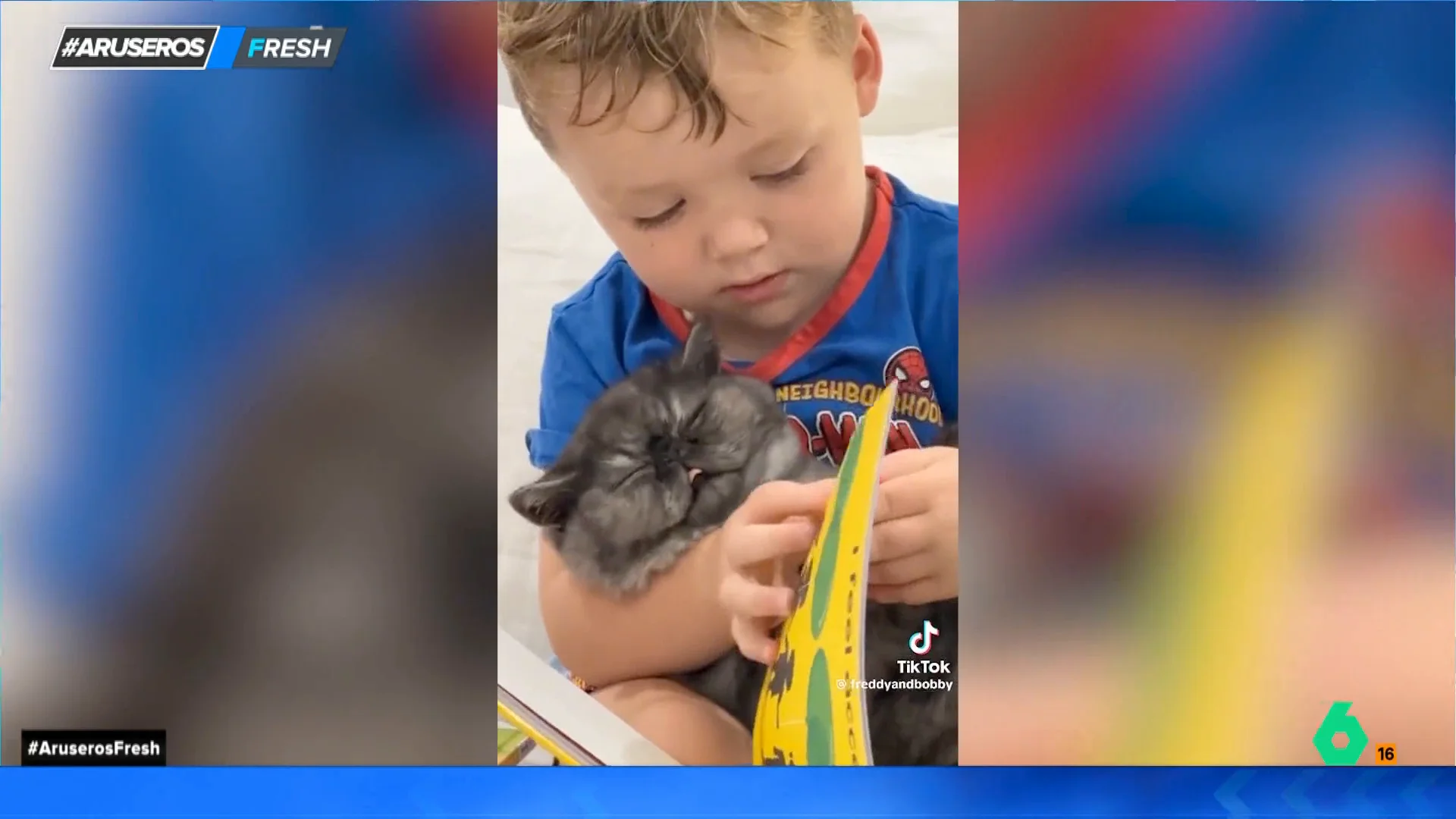 El "adorable" momento en el que un niño abraza a su gato mientras le lee un cuento