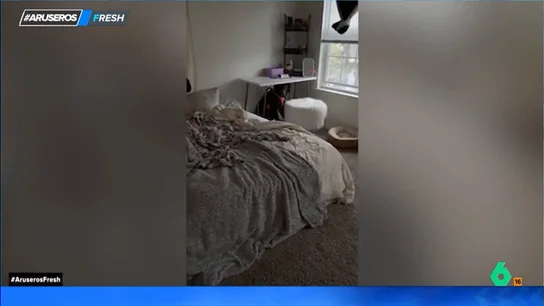 El curioso caso de dos perros que se esconden cada vez que su dueña cocina El curioso caso de dos perros que se esconden cada vez que su dueña cocina
