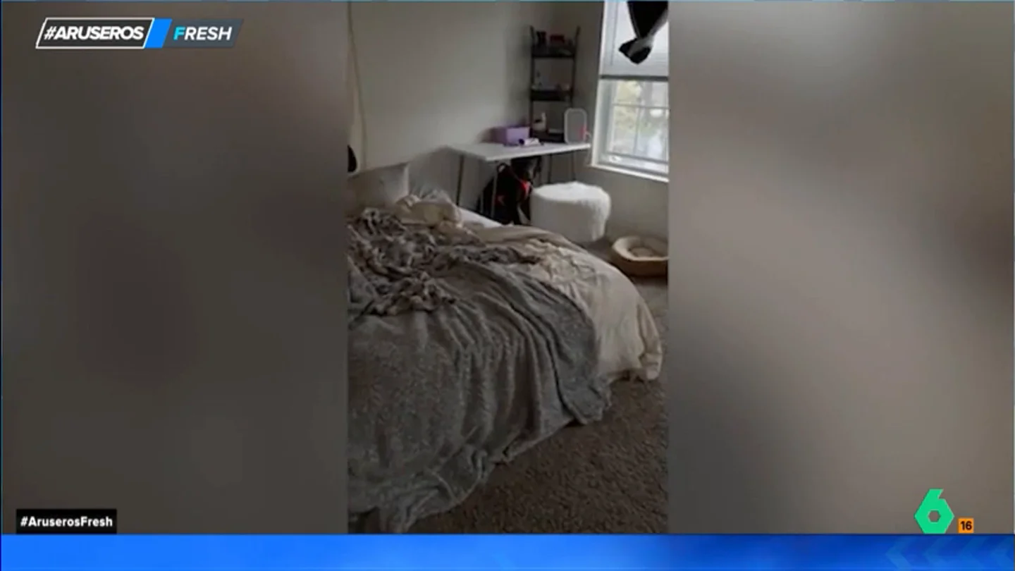 El curioso caso de dos perros que se esconden cada vez que su dueña cocina El curioso caso de dos perros que se esconden cada vez que su dueña cocina