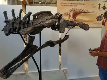 Presentados fósiles excepcionales de dinosaurio Presentados fósiles excepcionales de dinosaurio