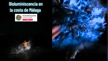 Una playa de Málaga que se ilumina de fluorescente por la noche triunfa en TikTok: "La naturaleza es increíble"