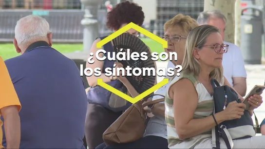 ¿Cuáles son los síntomas de un golpe de calor? ¿Cuáles son los síntomas de un golpe de calor?