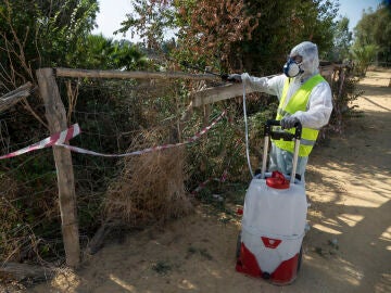 Vista de las tareas de fumigación que se están llevando a cabo este sábado en la Puebla del Río