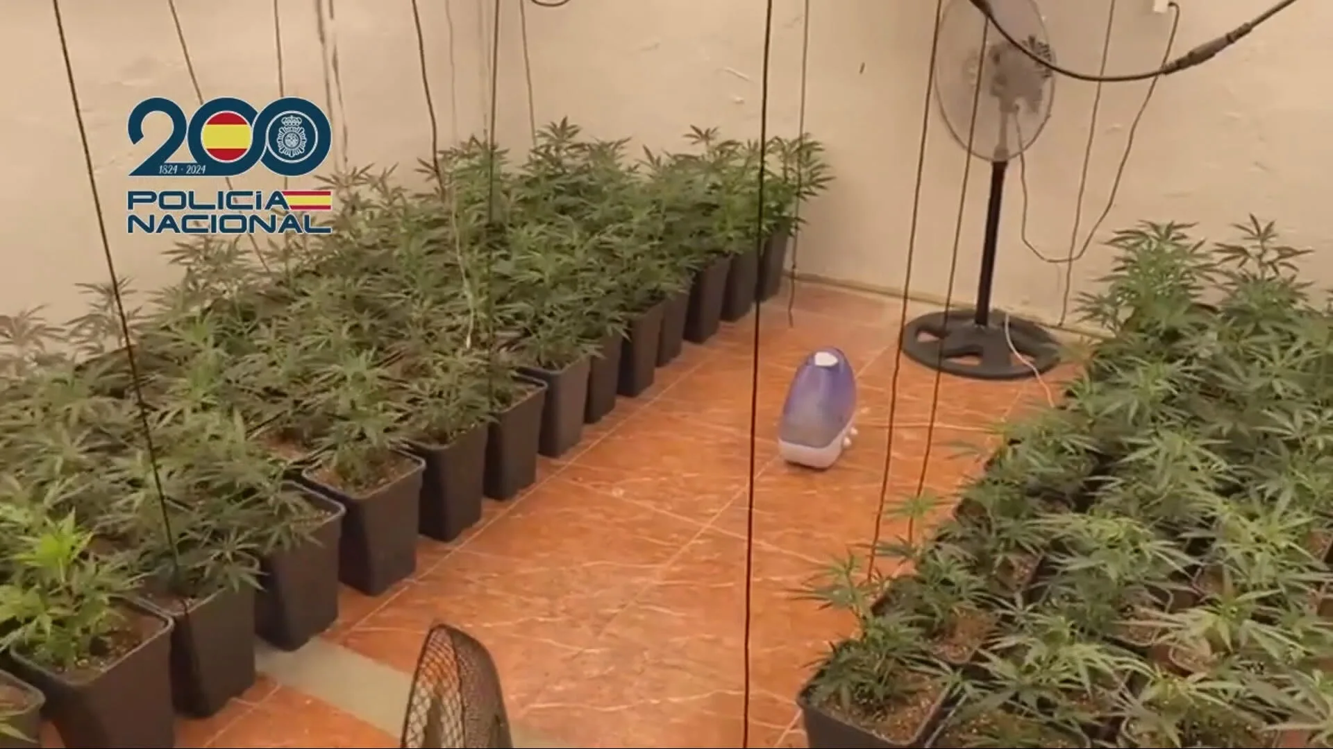 La Policía desarticula en Madrid una organización que mandaba marihuana a Alemania