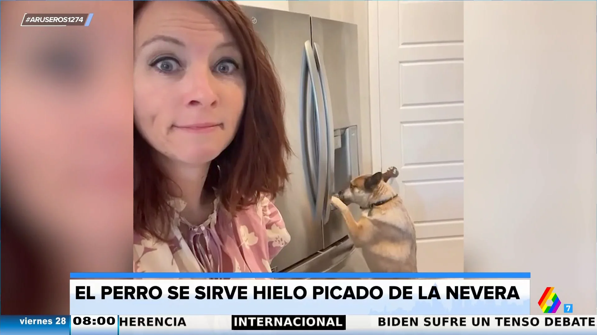 Un perro preparado para el verano: una mujer graba a su mascota sirviéndose hielo de la nevera para refrescarse