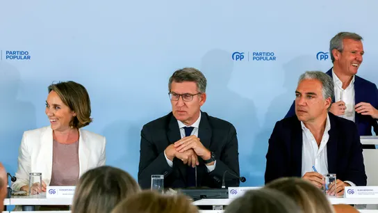 El presidente del PP Alberto Nuñez Feijóo El presidente del PP Alberto Nuñez Feijóo