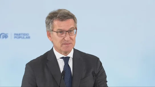 El presidente del Partido Popular (PP), Alberto Núñez Feijóo, en una imagen de archivo. El presidente del Partido Popular (PP), Alberto Núñez Feijóo, en una imagen de archivo.