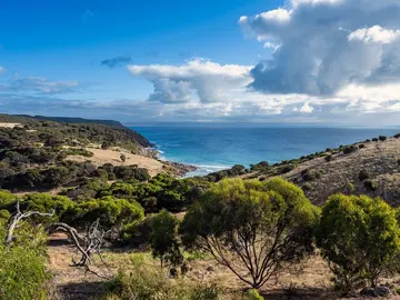 Isla de Australia Isla de Australia