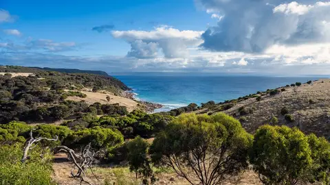Isla de Australia Isla de Australia
