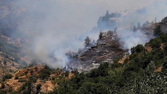 Declarado un incendio forestal en el paraje Nagüeles (Málaga) Resultado del fuego a su paso por Nagüeles